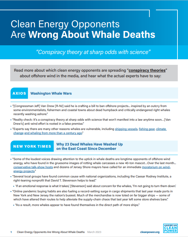Clean Energy Opponents are Wrong About Whale Deaths